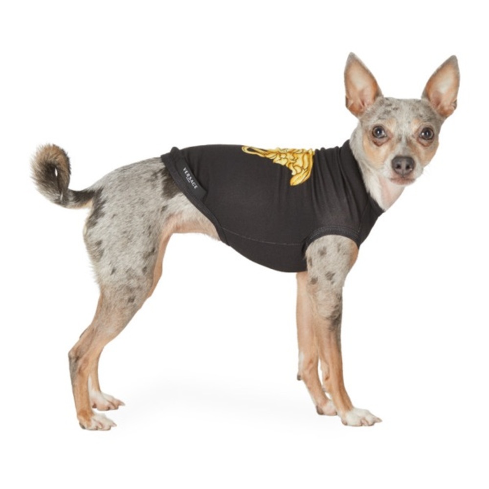 Brand new Versace dog Medusa shirt size small
